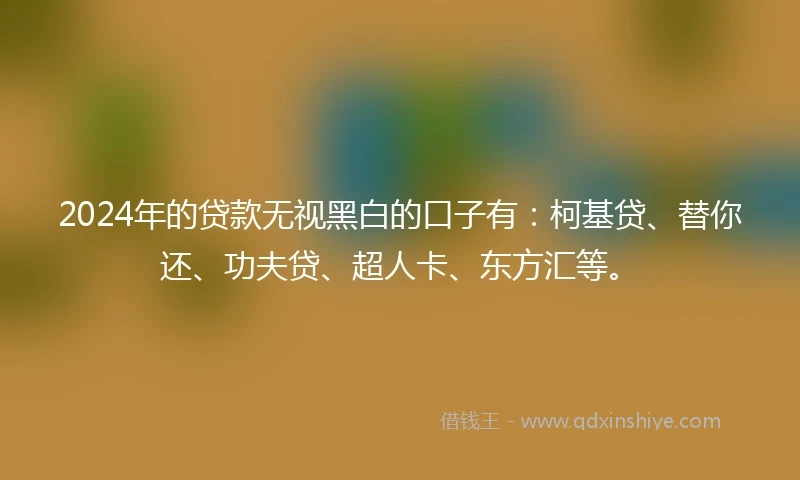 2024年的贷款无视黑白的口子有：柯基贷、替你还、功夫贷、超人卡、东方汇等。
