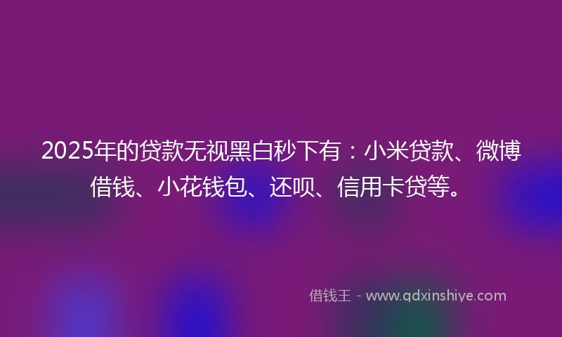 2025年的贷款无视黑白秒下有：小米贷款、微博借钱、小花钱包、还呗、信用卡贷等。