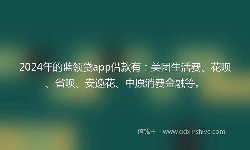 2024年的蓝领贷app借款有：美团生活费、花呗、省呗、安逸花、中原消费金融等。