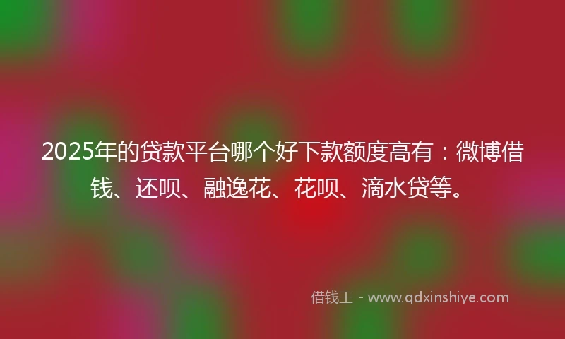2025年的贷款平台哪个好下款额度高有：微博借钱、还呗、融逸花、花呗、滴水贷等。
