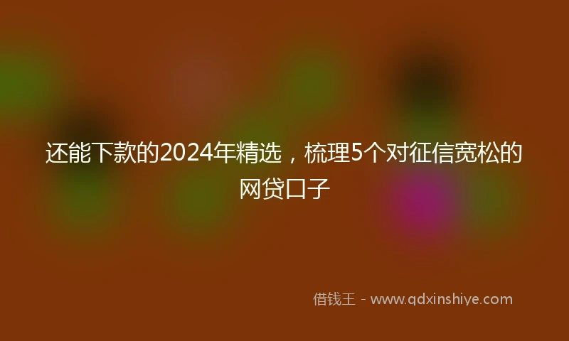 还能下款的2024年精选，梳理5个对征信宽松的网贷口子