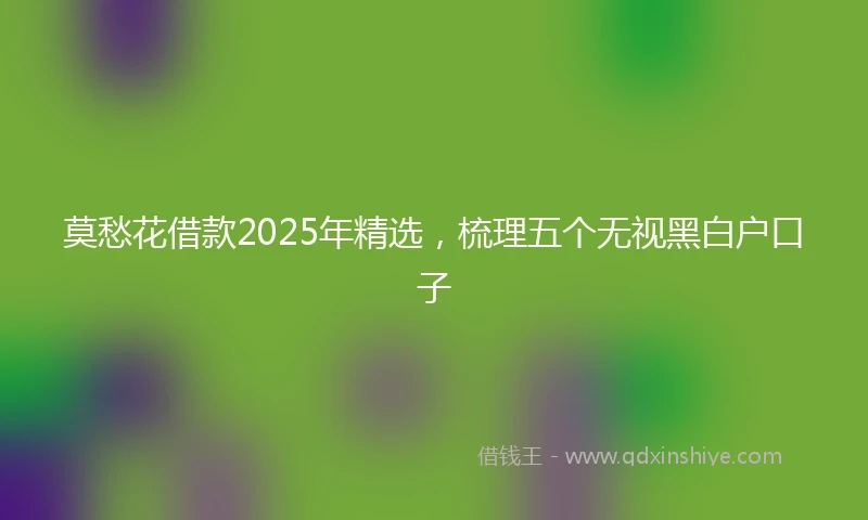 莫愁花借款2025年精选，梳理五个无视黑白户口子