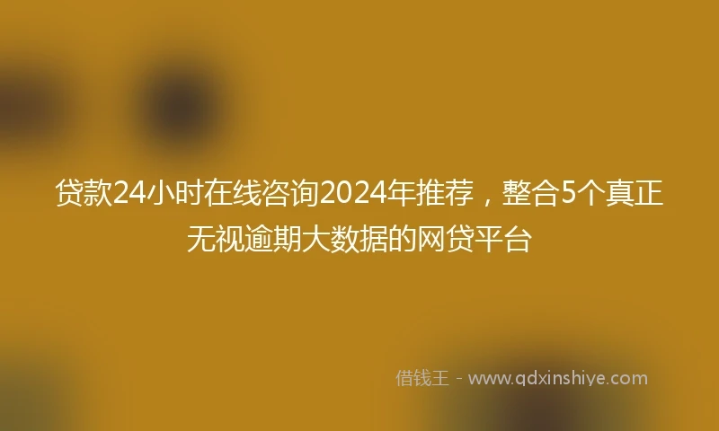 贷款24小时在线咨询2024年推荐，整合5个真正无视逾期大数据的网贷平台