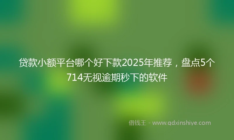 贷款小额平台哪个好下款2025年推荐，盘点5个714无视逾期秒下的软件