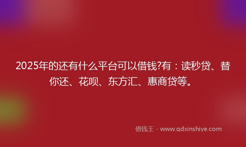 2025年的还有什么平台可以借钱?有：读秒贷、替你还、花呗、东方汇、惠商贷等。