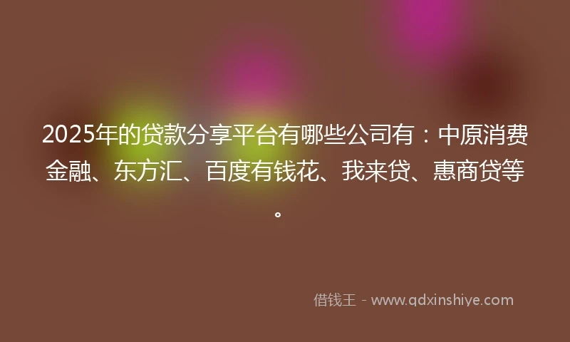 2025年的贷款分享平台有哪些公司有：中原消费金融、东方汇、百度有钱花、我来贷、惠商贷等。