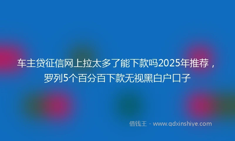 车主贷征信网上拉太多了能下款吗2025年推荐，罗列5个百分百下款无视黑白户口子