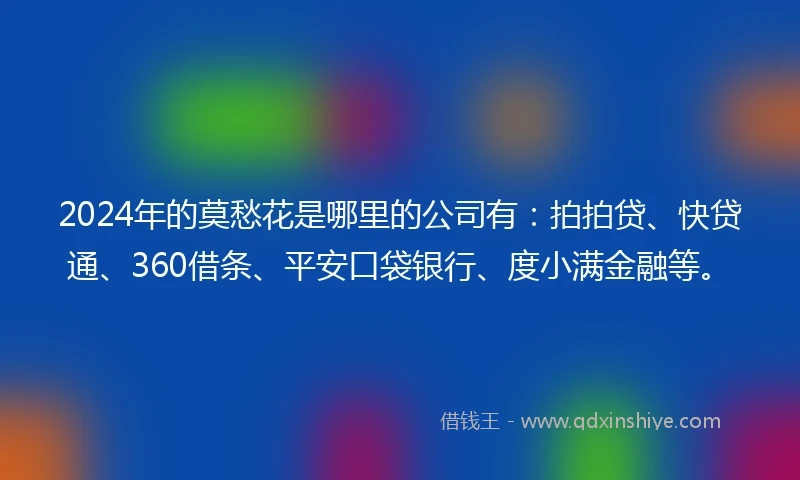 2024年的莫愁花是哪里的公司有：拍拍贷、快贷通、360借条、平安口袋银行、度小满金融等。