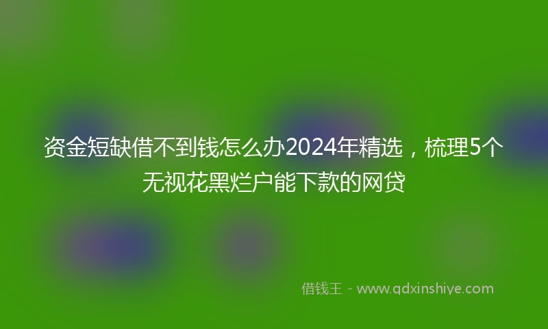 资金短缺借不到钱怎么办2024年精选，梳理5个无视花黑烂户能下款的网贷