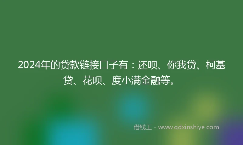 2024年的贷款链接口子有：还呗、你我贷、柯基贷、花呗、度小满金融等。