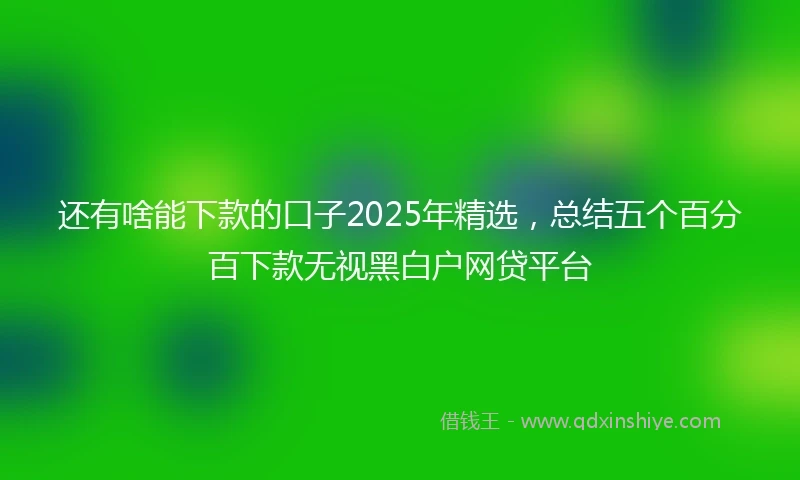还有啥能下款的口子2025年精选，总结五个百分百下款无视黑白户网贷平台