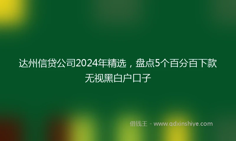 达州信贷公司2024年精选，盘点5个百分百下款无视黑白户口子