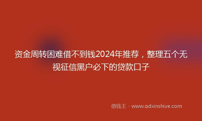 资金周转困难借不到钱2024年推荐，整理五个无视征信黑户必下的贷款口子