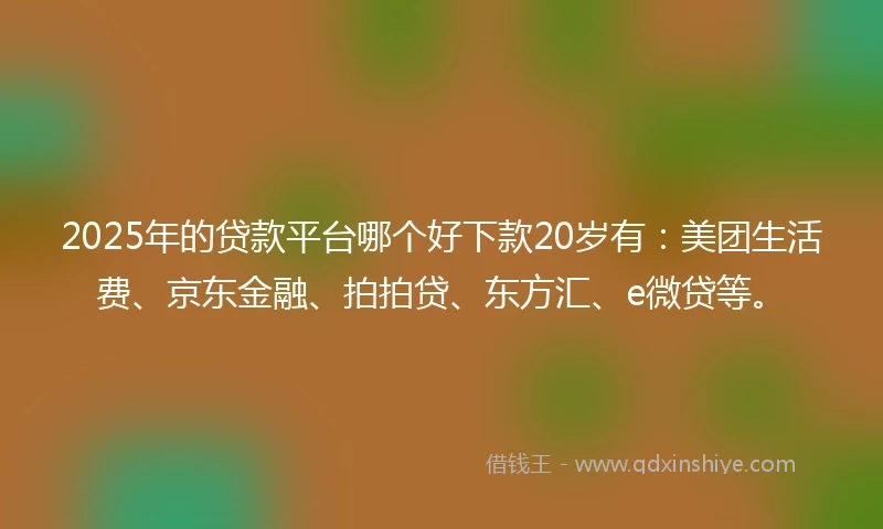 2025年的贷款平台哪个好下款20岁有：美团生活费、京东金融、拍拍贷、东方汇、e微贷等。