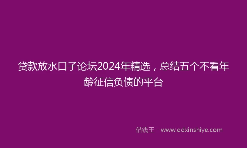 贷款放水口子论坛2024年精选，总结五个不看年龄征信负债的平台