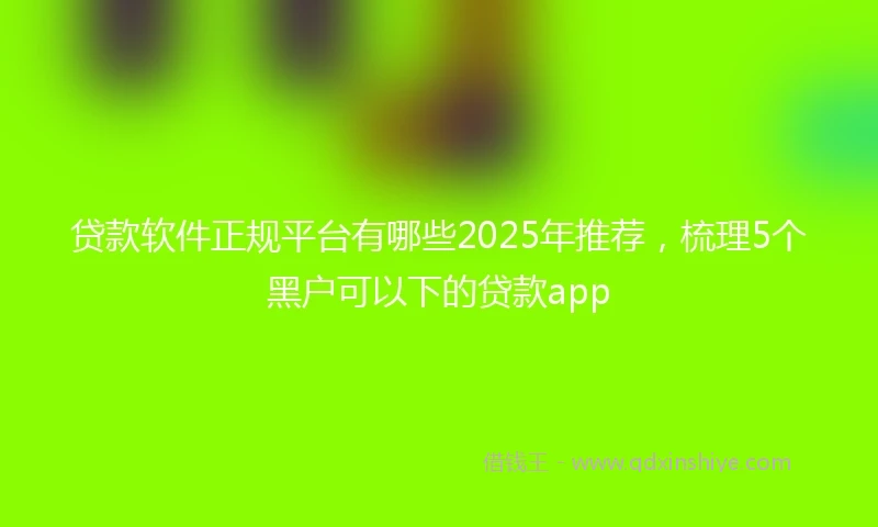 贷款软件正规平台有哪些2025年推荐，梳理5个黑户可以下的贷款app