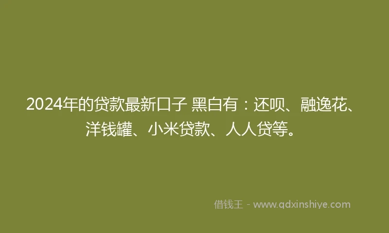 2024年的贷款最新口子 黑白有：还呗、融逸花、洋钱罐、小米贷款、人人贷等。