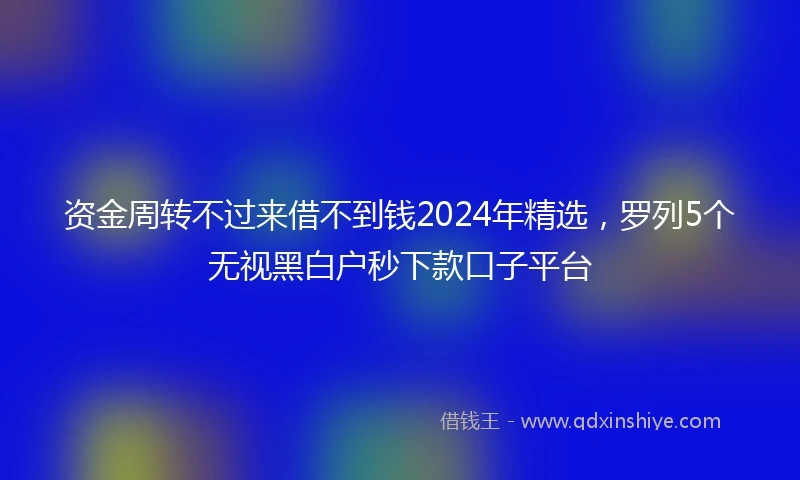 资金周转不过来借不到钱2024年精选，罗列5个无视黑白户秒下款口子平台