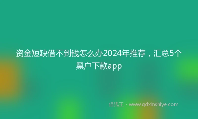 资金短缺借不到钱怎么办2024年推荐，汇总5个黑户下款app