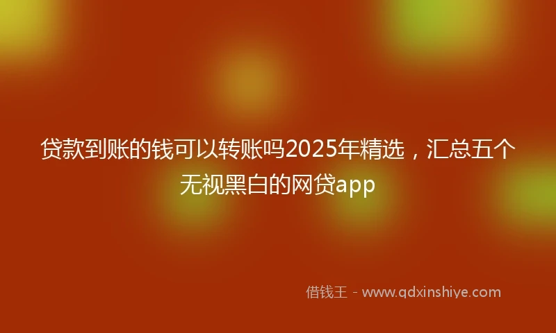 贷款到账的钱可以转账吗2025年精选，汇总五个无视黑白的网贷app