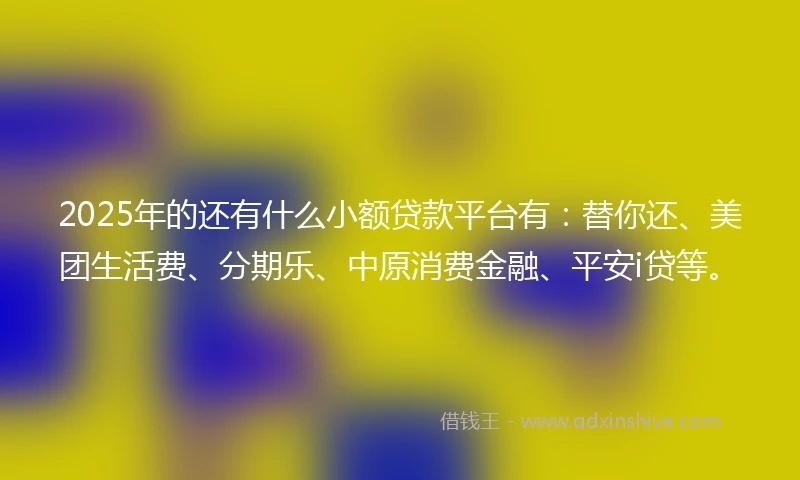 2025年的还有什么小额贷款平台有：替你还、美团生活费、分期乐、中原消费金融、平安i贷等。