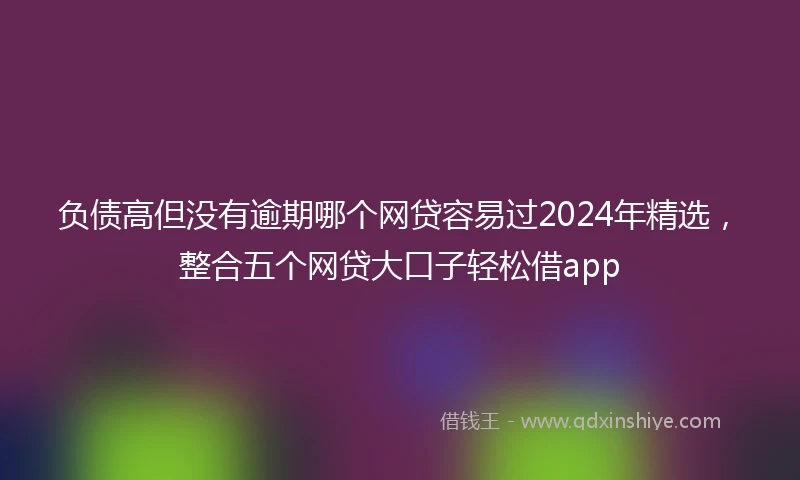 负债高但没有逾期哪个网贷容易过2024年精选，整合五个网贷大口子轻松借app