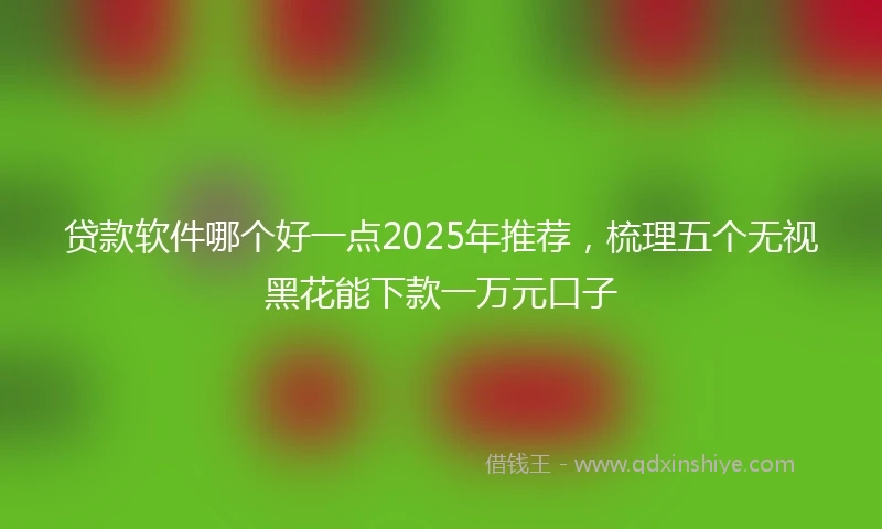 贷款软件哪个好一点2025年推荐，梳理五个无视黑花能下款一万元口子