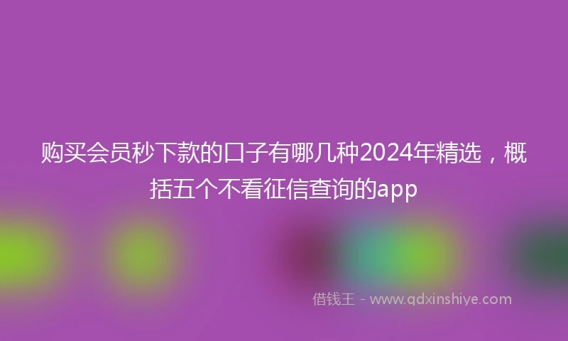 购买会员秒下款的口子有哪几种2024年精选，概括五个不看征信查询的app