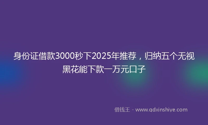 身份证借款3000秒下2025年推荐，归纳五个无视黑花能下款一万元口子