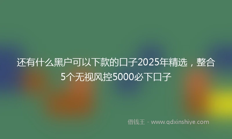 还有什么黑户可以下款的口子2025年精选，整合5个无视风控5000必下口子