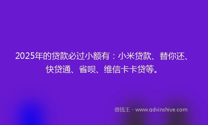 2025年的贷款必过小额有:小米贷款、替你还、快贷通、省呗、维信卡卡贷等。