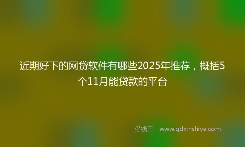 近期好下的网贷软件有哪些2025年推荐，概括5个11月能贷款的平台