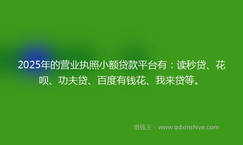 2025年的营业执照小额贷款平台有：读秒贷、花呗、功夫贷、百度有钱花、我来贷等。