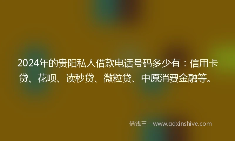 2024年的贵阳私人借款电话号码多少有：信用卡贷、花呗、读秒贷、微粒贷、中原消费金融等。