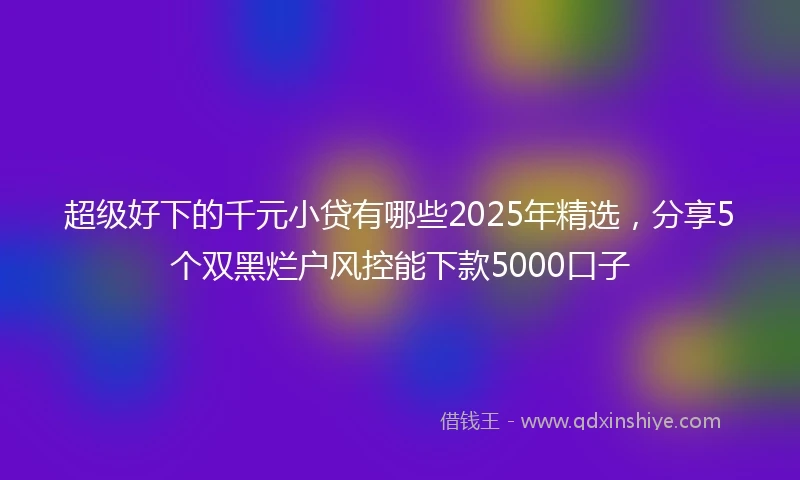 超级好下的千元小贷有哪些2025年精选，分享5个双黑烂户风控能下款5000口子