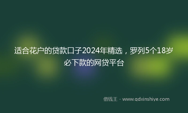 适合花户的贷款口子2024年精选，罗列5个18岁必下款的网贷平台