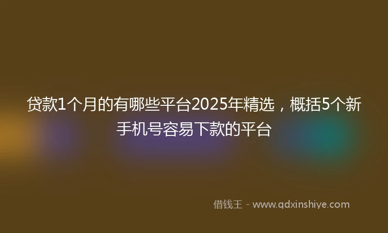 贷款1个月的有哪些平台2025年精选，概括5个新手机号容易下款的平台
