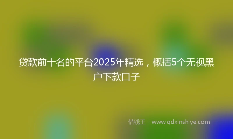 贷款前十名的平台2025年精选，概括5个无视黑户下款口子
