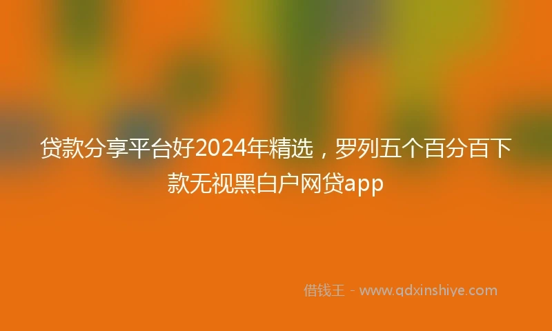 贷款分享平台好2024年精选，罗列五个百分百下款无视黑白户网贷app