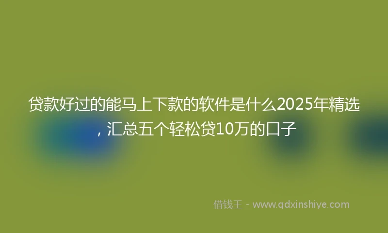 贷款好过的能马上下款的软件是什么2025年精选,汇总五个轻松贷10万的口子