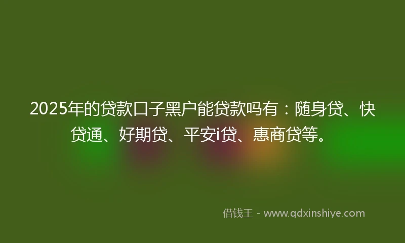 2025年的贷款口子黑户能贷款吗有：随身贷、快贷通、好期贷、平安i贷、惠商贷等。