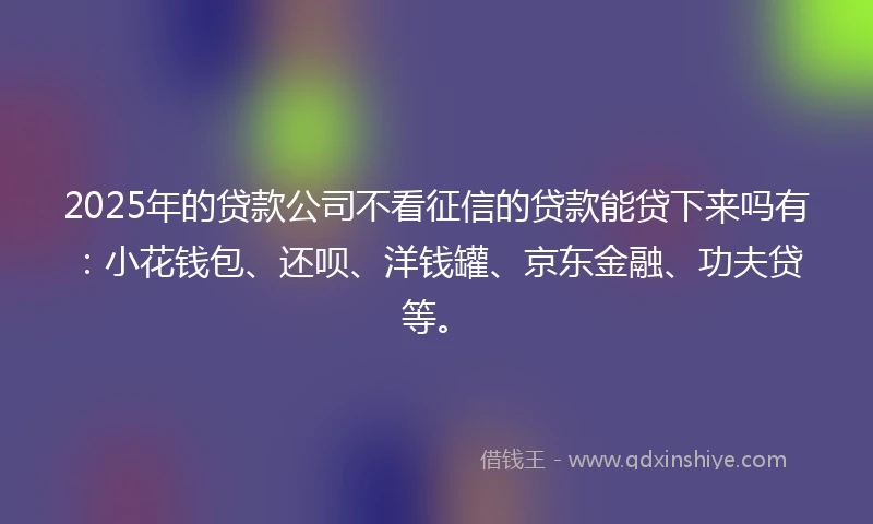 2025年的贷款公司不看征信的贷款能贷下来吗有：小花钱包、还呗、洋钱罐、京东金融、功夫贷等。