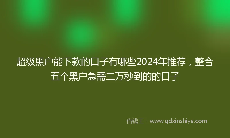 超级黑户能下款的口子有哪些2024年推荐，整合五个黑户急需三万秒到的的口子