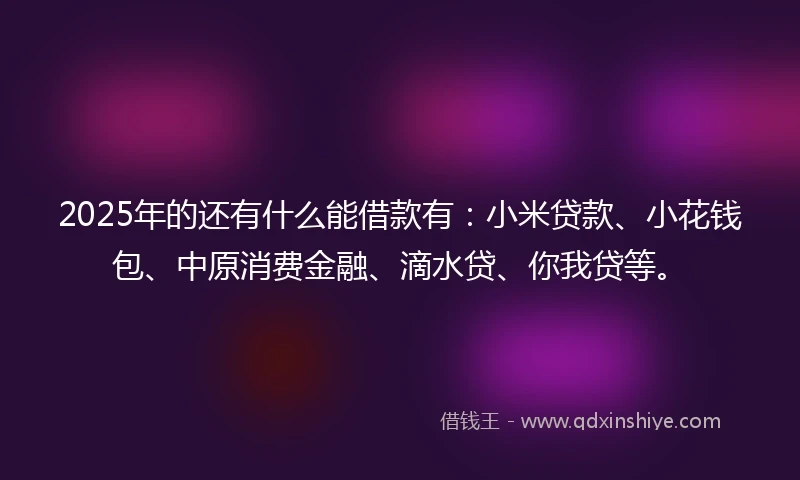 2025年的还有什么能借款有：小米贷款、小花钱包、中原消费金融、滴水贷、你我贷等。