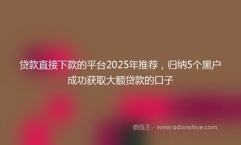 贷款直接下款的平台2025年推荐，归纳5个黑户成功获取大额贷款的口子