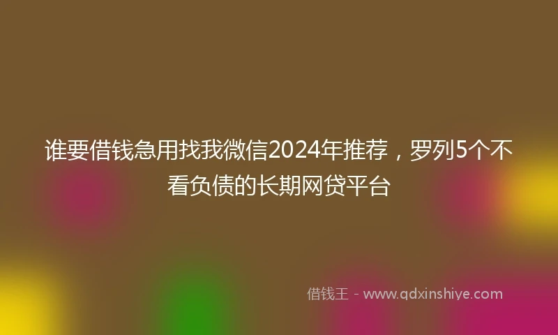 谁要借钱急用找我微信2024年推荐，罗列5个不看负债的长期网贷平台