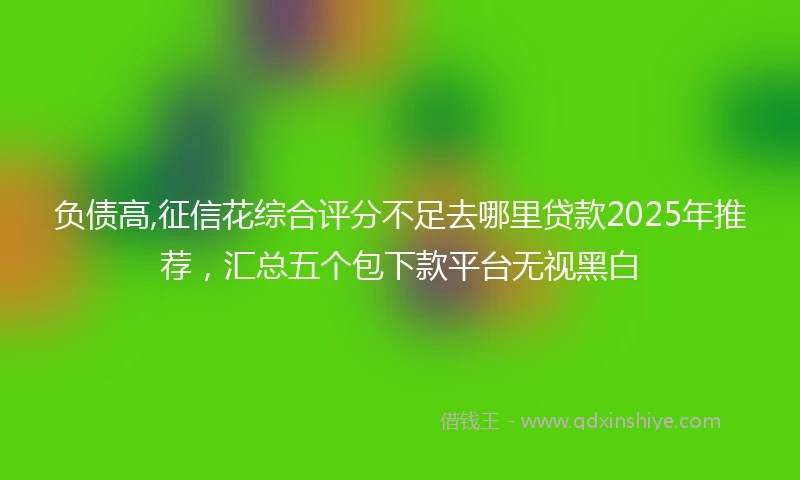 负债高,征信花综合评分不足去哪里贷款2025年推荐，汇总五个包下款平台无视黑白