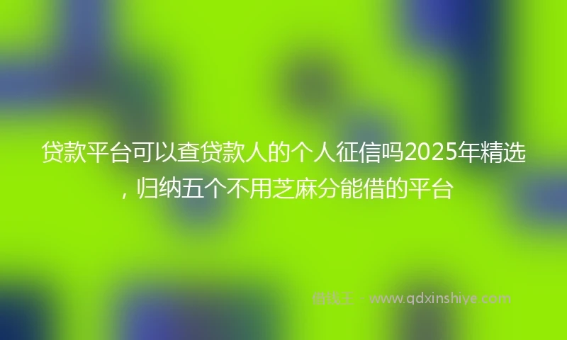 贷款平台可以查贷款人的个人征信吗2025年精选，归纳五个不用芝麻分能借的平台
