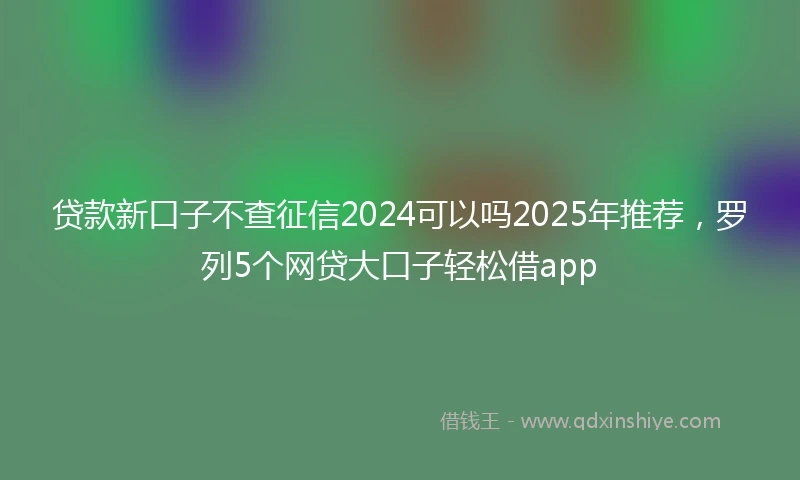 贷款新口子不查征信2024可以吗2025年推荐，罗列5个网贷大口子轻松借app