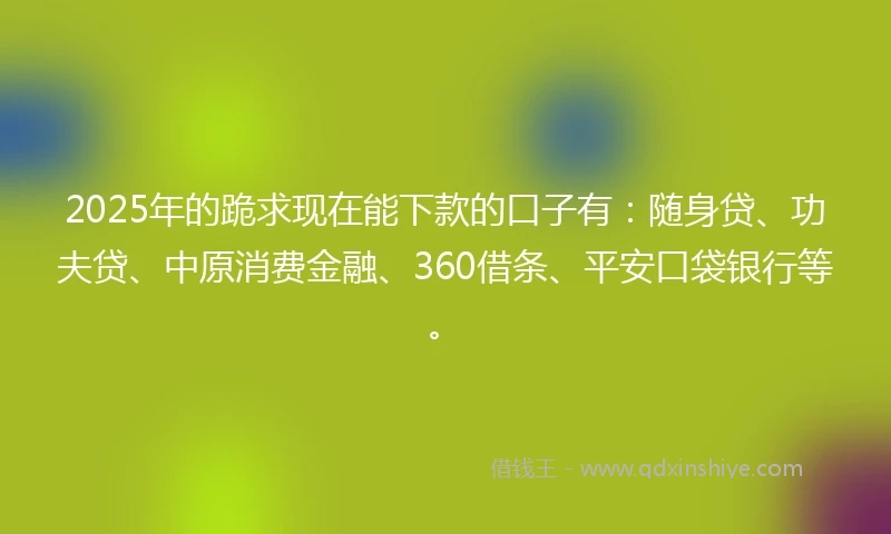 2025年的跪求现在能下款的口子有：随身贷、功夫贷、中原消费金融、360借条、平安口袋银行等。